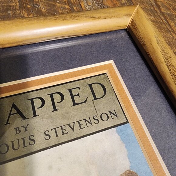 Treasure Island - N.C.Wyeth - Antique Book Cover - Picture 9 of 10